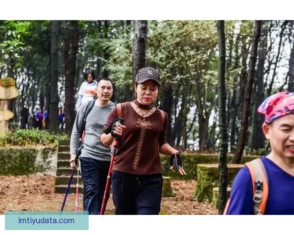 IM体育最新地址助力用户畅享全新体育体验，开启精准赛事预测与即时数据服务